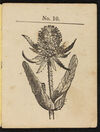 Thumbnail 0003 of Child