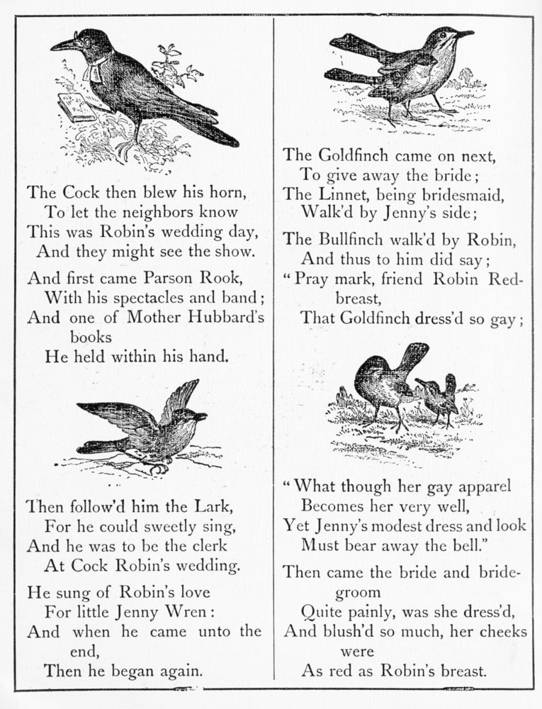 Scan 0004 of Cock robin