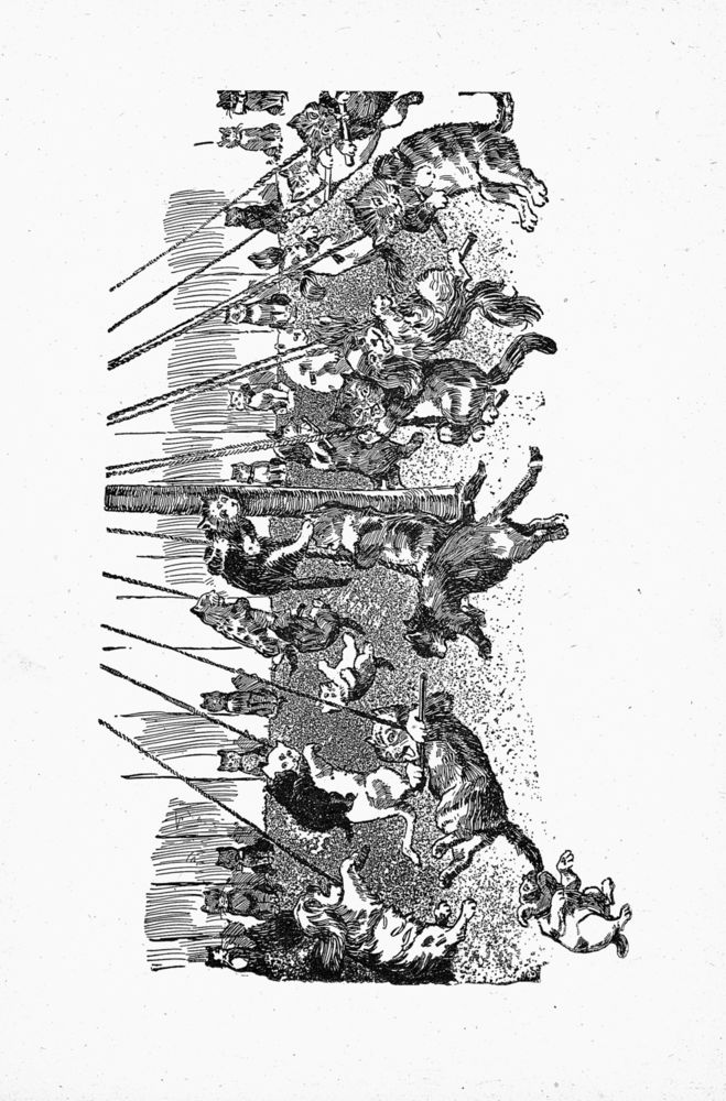 Scan 0006 of The comic picture book