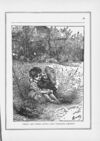 Thumbnail 0037 of Daisies