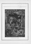 Thumbnail 0041 of Daisies