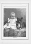 Thumbnail 0043 of Daisies