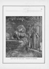 Thumbnail 0049 of Daisies