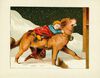 Thumbnail 0013 of Dog of St. Bernard and other stories [State 1]