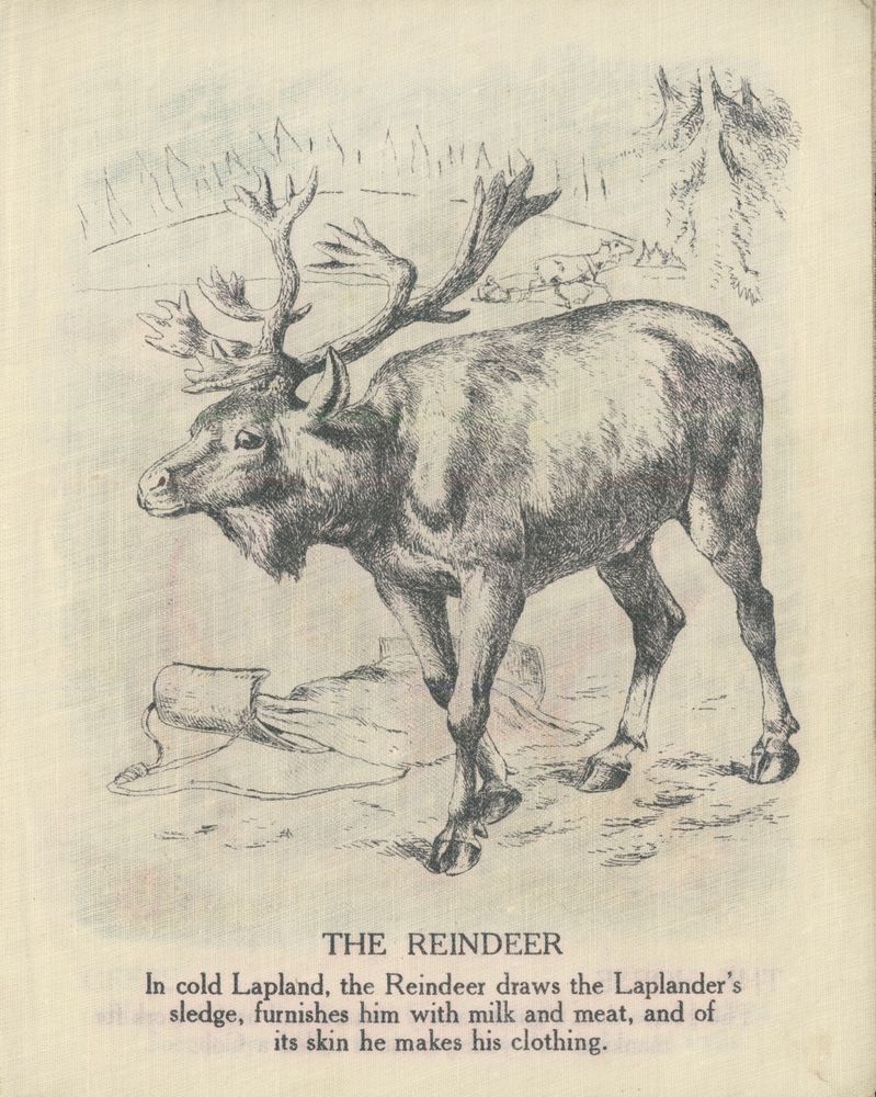 Scan 0005 of Domestic animals
