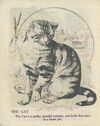 Thumbnail 0008 of Domestic animals
