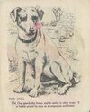 Thumbnail 0009 of Domestic animals