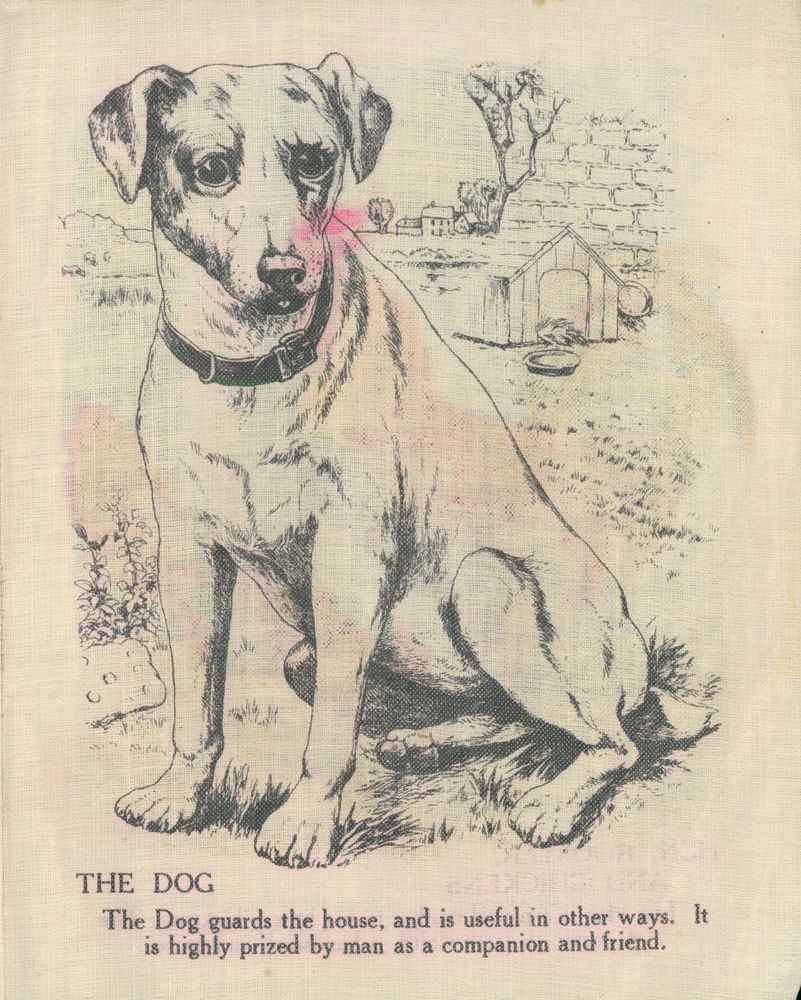 Scan 0009 of Domestic animals