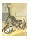 Thumbnail 0003 of Domestic animals