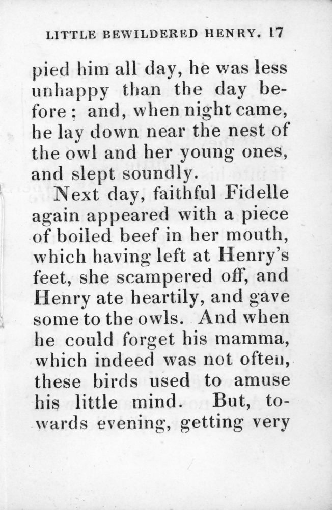 Scan 0017 of Extraordinary adventures of poor little bewildered Henry