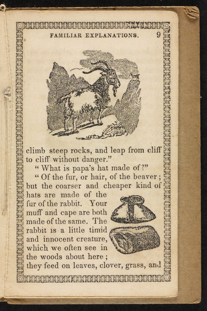 Scan 0013 of The flock of sheep, or, Familiar explanations of simple facts
