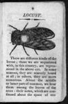 Thumbnail 0011 of The history of insects