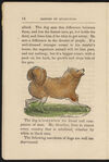 Thumbnail 0016 of History of quadrupeds