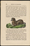 Thumbnail 0018 of History of quadrupeds