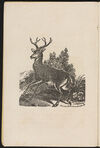 Thumbnail 0004 of History of quadrupeds