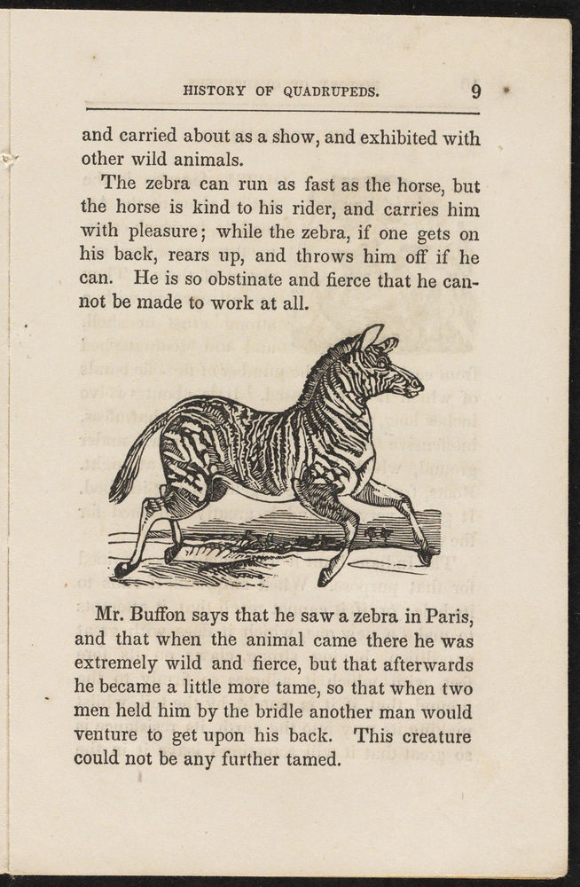 Scan 0011 of History of quadrupeds