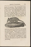 Thumbnail 0013 of History of quadrupeds