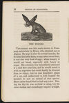 Thumbnail 0014 of History of quadrupeds