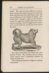 Thumbnail 0016 of History of quadrupeds