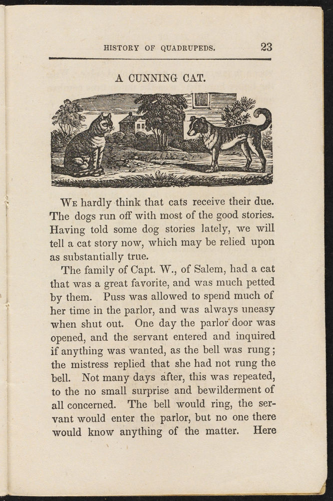 Scan 0025 of History of quadrupeds