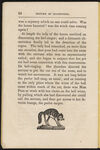 Thumbnail 0026 of History of quadrupeds