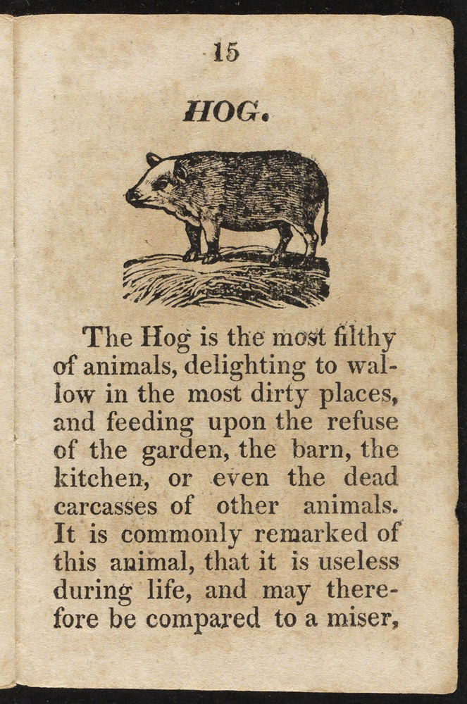 Scan 0017 of History of animals