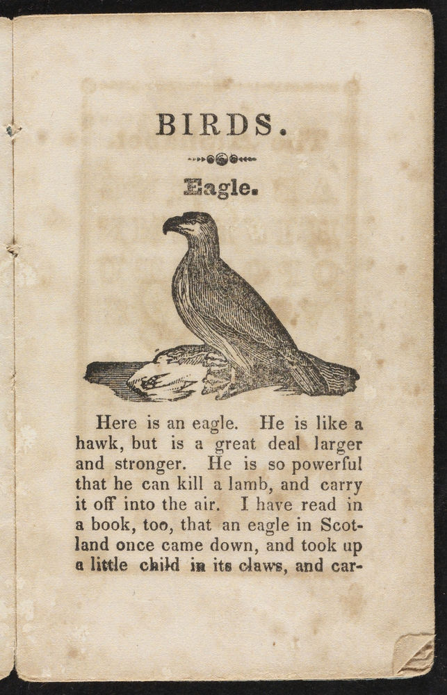 Scan 0005 of A history of birds