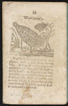 Thumbnail 0018 of A history of birds