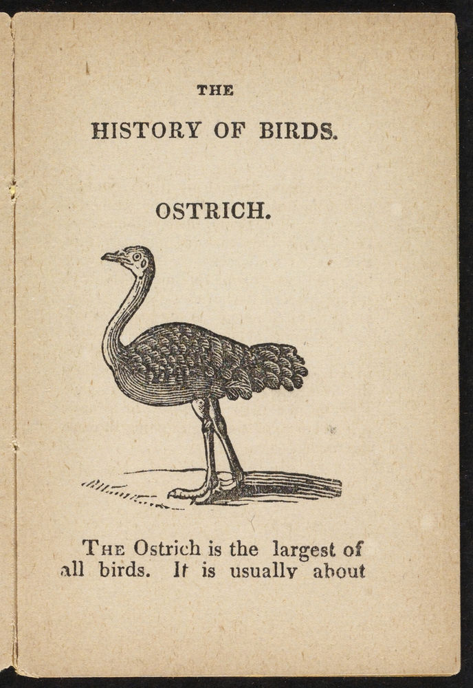 Scan 0005 of The history of birds