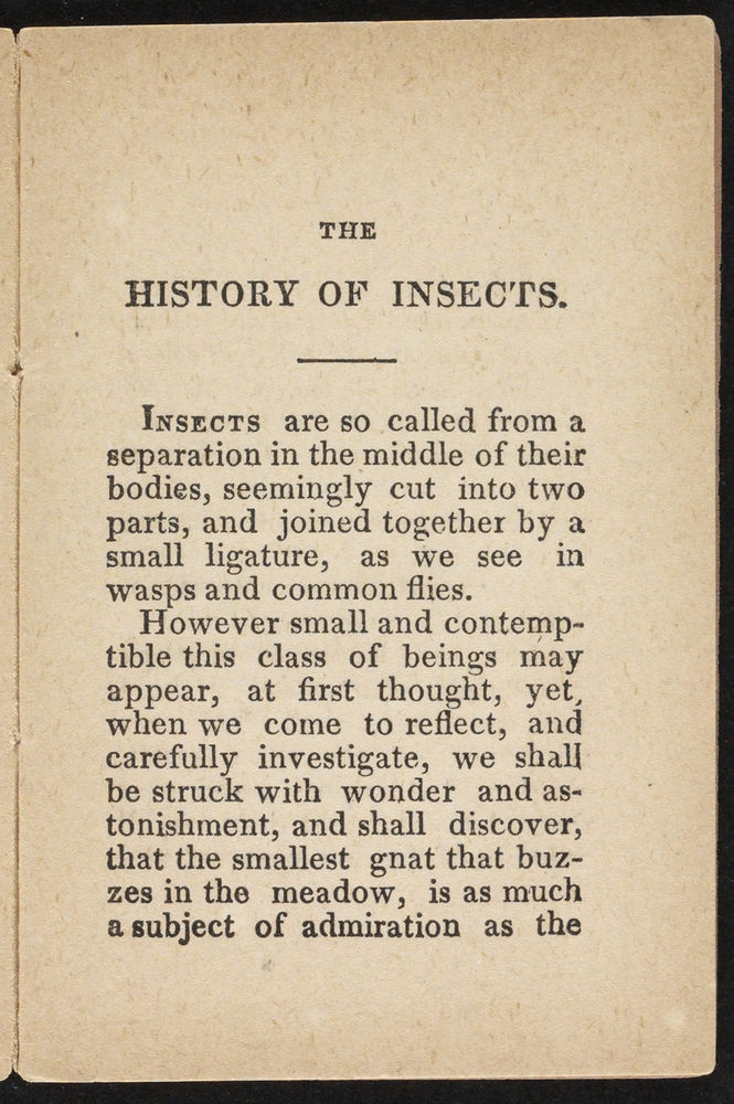 Scan 0005 of The history of insects