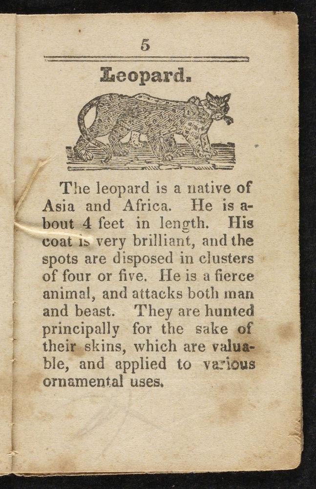 Scan 0007 of A history of beasts for the use of children