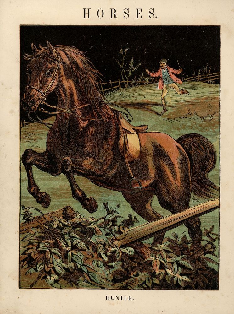Scan 0002 of Horses