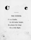 Thumbnail 0013 of The illustrated alphabet of birds