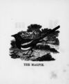 Thumbnail 0034 of The illustrated alphabet of birds