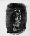 Thumbnail 0038 of The illustrated alphabet of birds