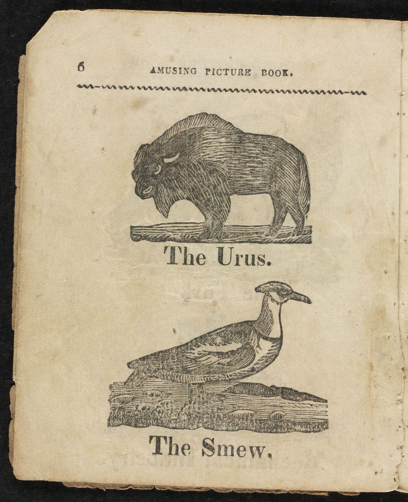 Scan 0006 of Instructive amusement, or, Amusing picture book