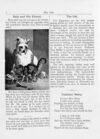 Thumbnail 0005 of In the fields