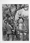 Thumbnail 0072 of In the fields