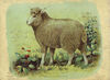 Thumbnail 0014 of In the fields ABC