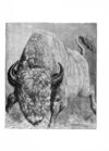 Thumbnail 0016 of Jumbo menagerie