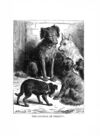 Thumbnail 0024 of Jumbo menagerie