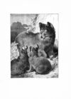 Thumbnail 0028 of Jumbo menagerie