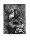Thumbnail 0048 of Jumbo menagerie