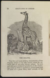 Thumbnail 0010 of The jungle, or, Child