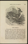 Thumbnail 0017 of The jungle, or, Child