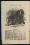 Thumbnail 0008 of The jungle, or, Child