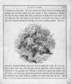Thumbnail 0017 of Lady fox