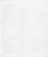 Thumbnail 0013 of Lily Sweet-briar