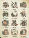 Thumbnail 0002 of Little childs home A B C book