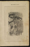Thumbnail 0009 of The little casket